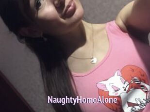 NaughtyHomeAlone