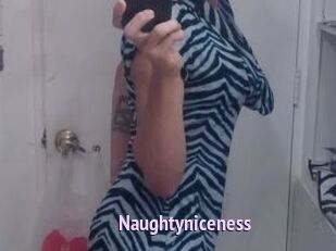 Naughtyniceness
