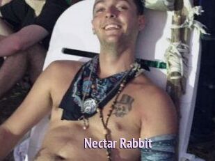 Nectar_Rabbit