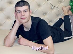 NigelBud
