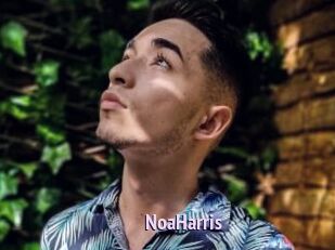 NoaHarris