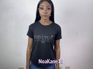 NoaKane18