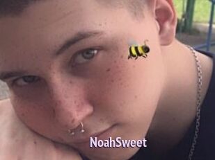 NoahSweet
