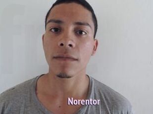 Noren_tor
