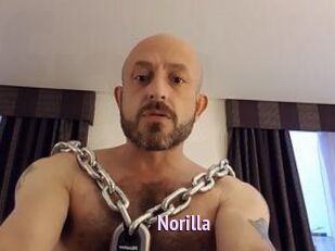 Norilla