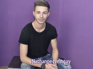 Nathanpervertgay