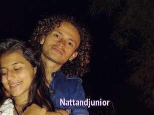 Nattandjunior