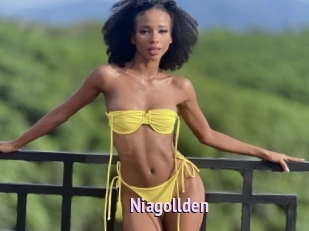 Niagollden