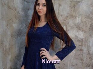 Nicecatt