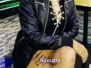 Nicecattx