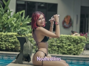noahcollins Film Porno