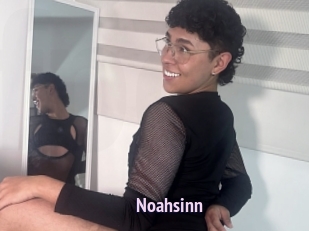 Noahsinn