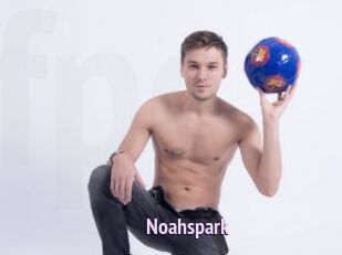 Noahspark