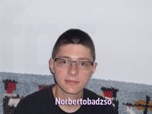 Norbertobadzso
