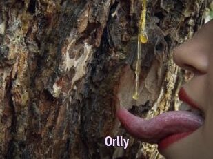 Orlly