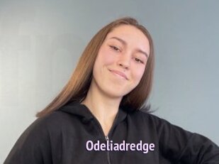 Odeliadredge