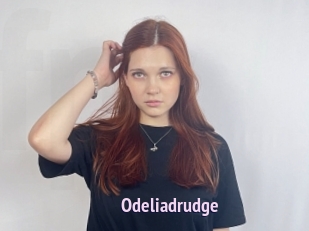 Odeliadrudge