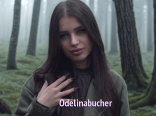 Odelinabucher
