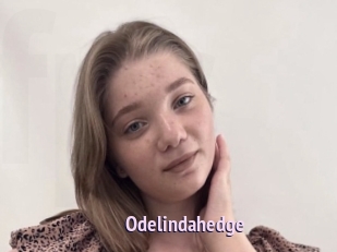 Odelindahedge