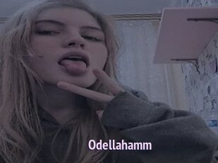 Odellahamm