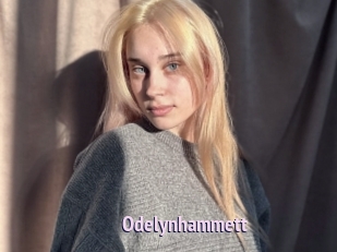 Odelynhammett