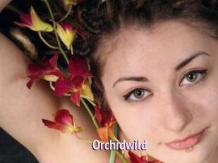 Orchidwild
