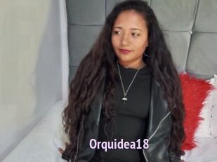 Orquidea18