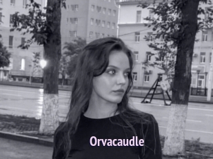 Orvacaudle