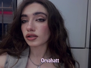 Orvahatt