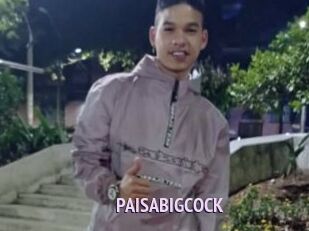 PAISABIGCOCK