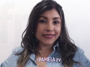 PAMELA_zv