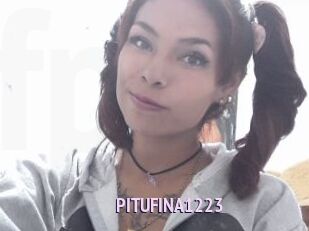 PITUFINA1223