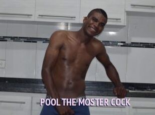 POOL_THE_MOSTER_COCK