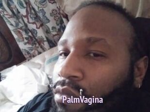 PalmVagina