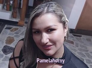 Pamelahorny