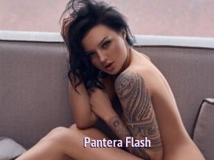 Pantera_Flash