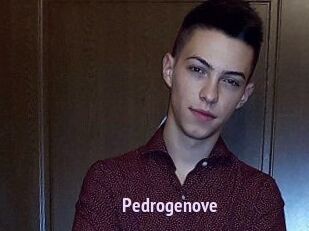 Pedrogenove