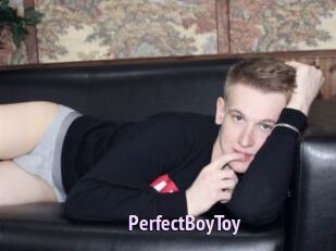 PerfectBoyToy