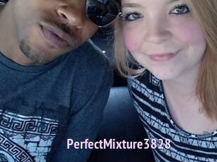 PerfectMixture3828