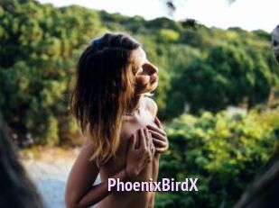 PhoenixBirdX