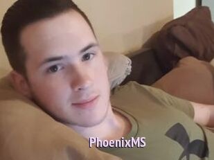 PhoenixMS