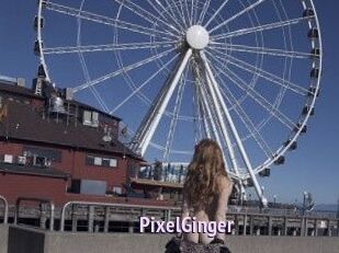 PixelGinger