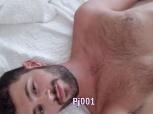 Pj001