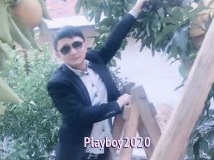 Playboy2020