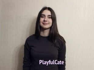 PlayfulCate