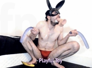 Playful_Toy