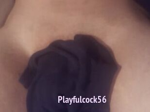 Playfulcock56