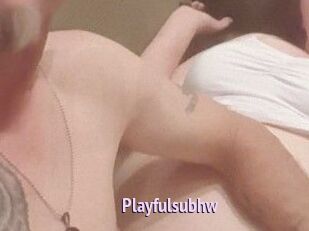 Playfulsubhw