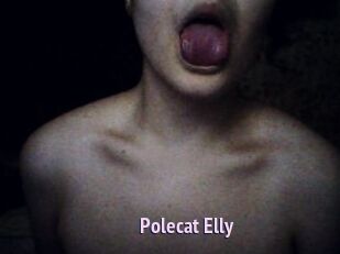 Polecat_Elly