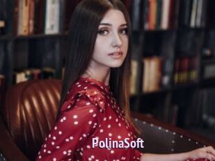 PolinaSoft